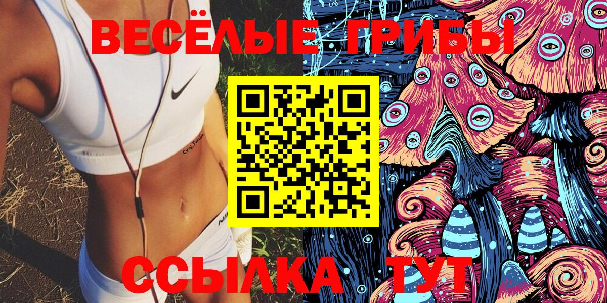 Сибай  Псилоцибиновые грибы мицелий  Вход с VPN 